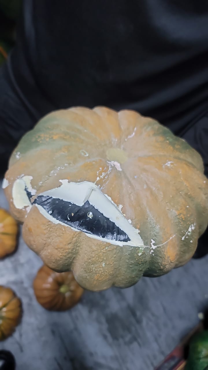 Calabaza cortada con relleno negro visible