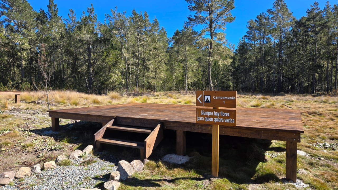 Nueva zona de acampar “Jardín del Edén” comenzará a operar en Valle Nuevo desde abril Nueva zona de acampar “Jardín del Edén” comenzará a operar en Valle Nuevo desde abril
