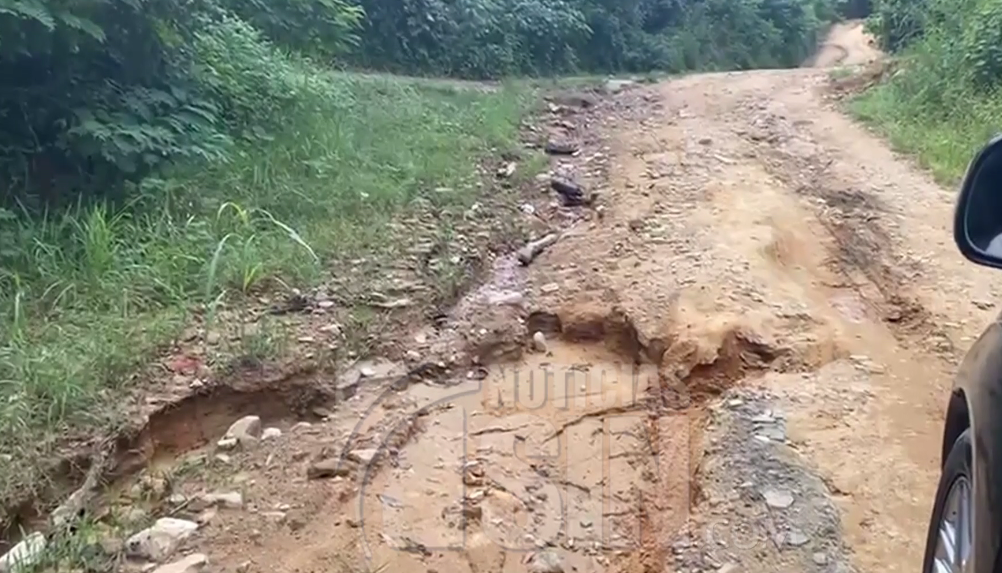 Comunidades exigen reparación urgente de carreteras rurales en Dajabón #NoticiasSIN

Detalles en:  

Visítenos en nuestro periódico