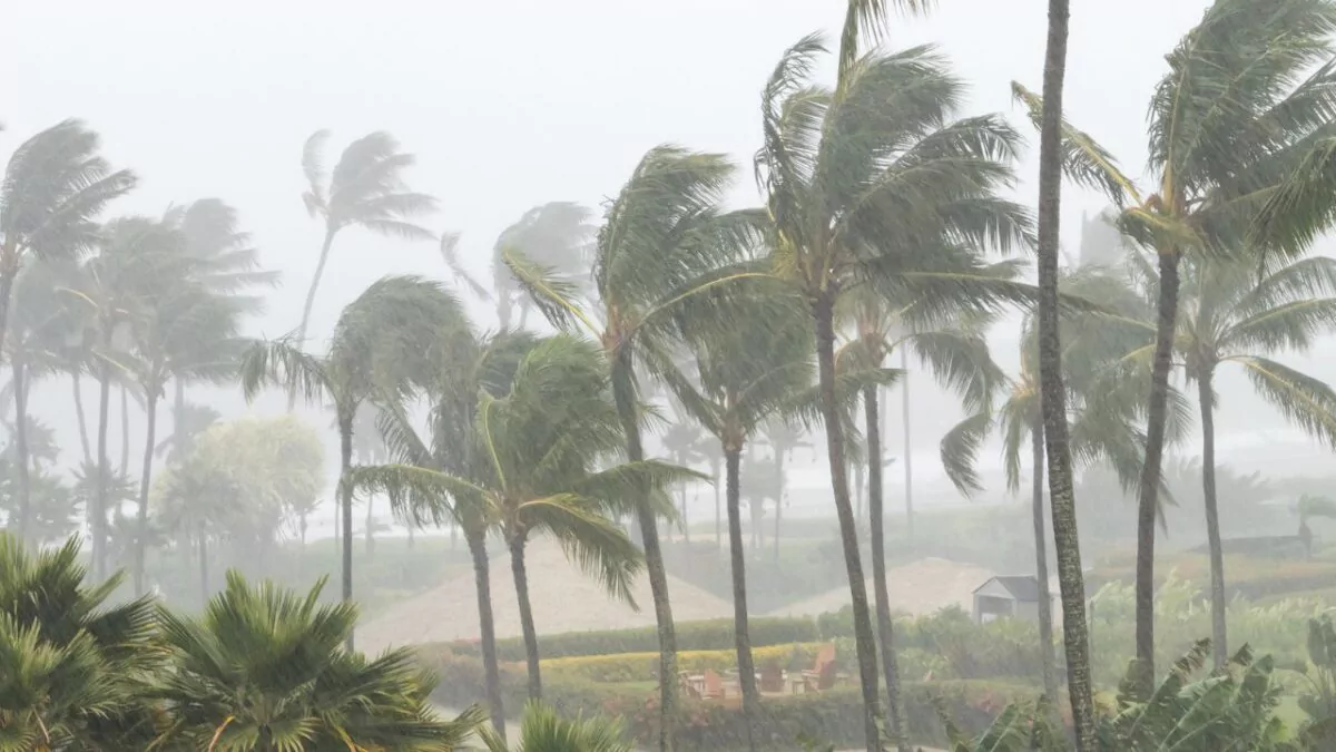 Indomet: se mantienen provincias en alerta por incremento de las lluvias