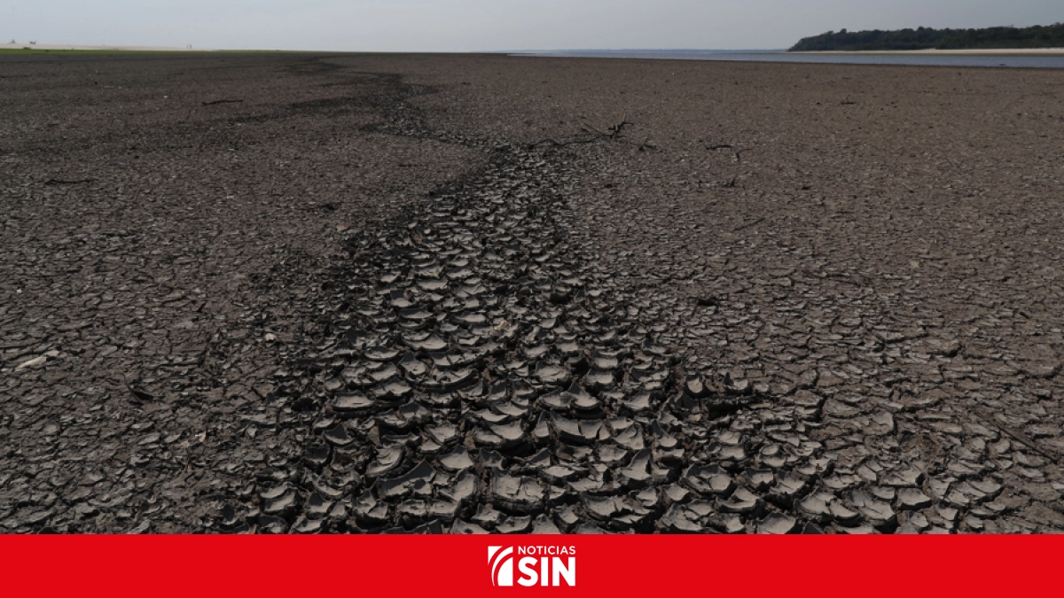El clima de Latinoamérica en 2025: más calor, menos glaciares y pérdidas millonarias #NoticiasSIN 

Amplíe detalles aquí: