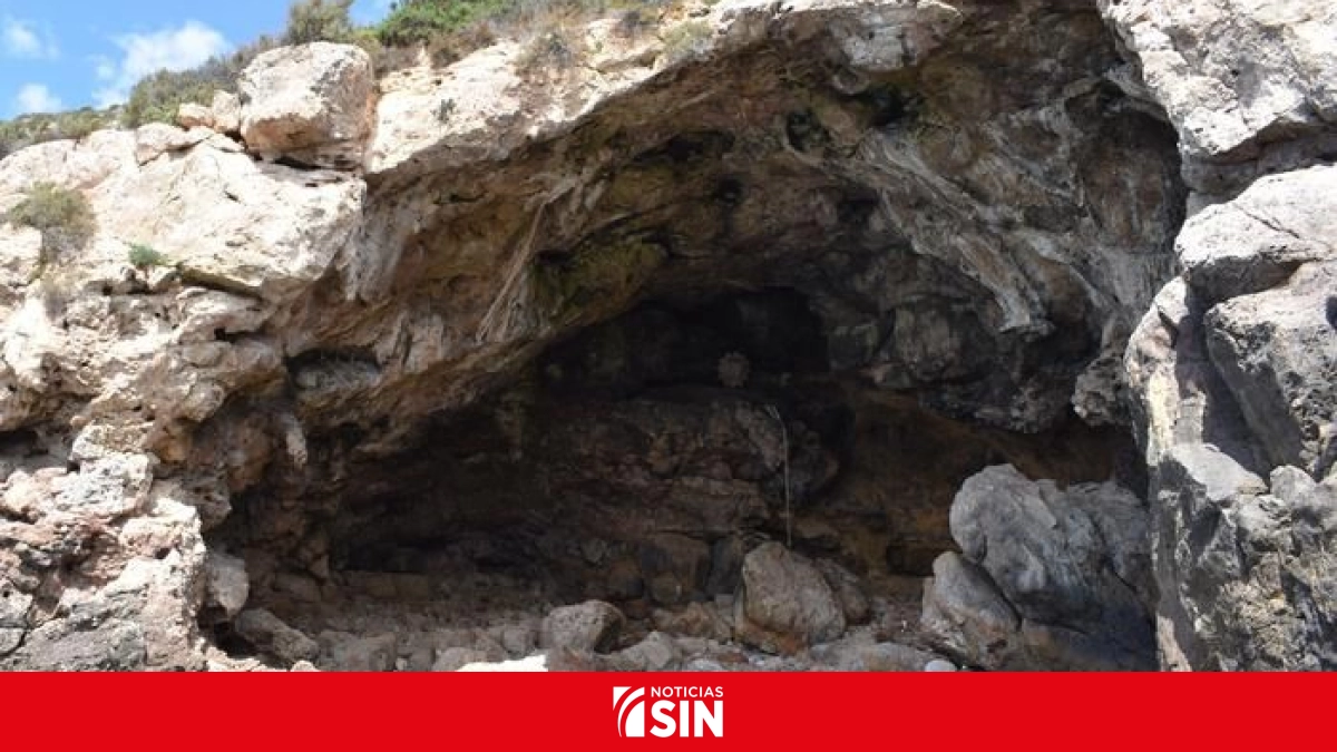 Los neandertales recolectaban marisco con las mismas estrategias que los humanos modernos #NoticiasSIN 

Amplíe detalles aquí: