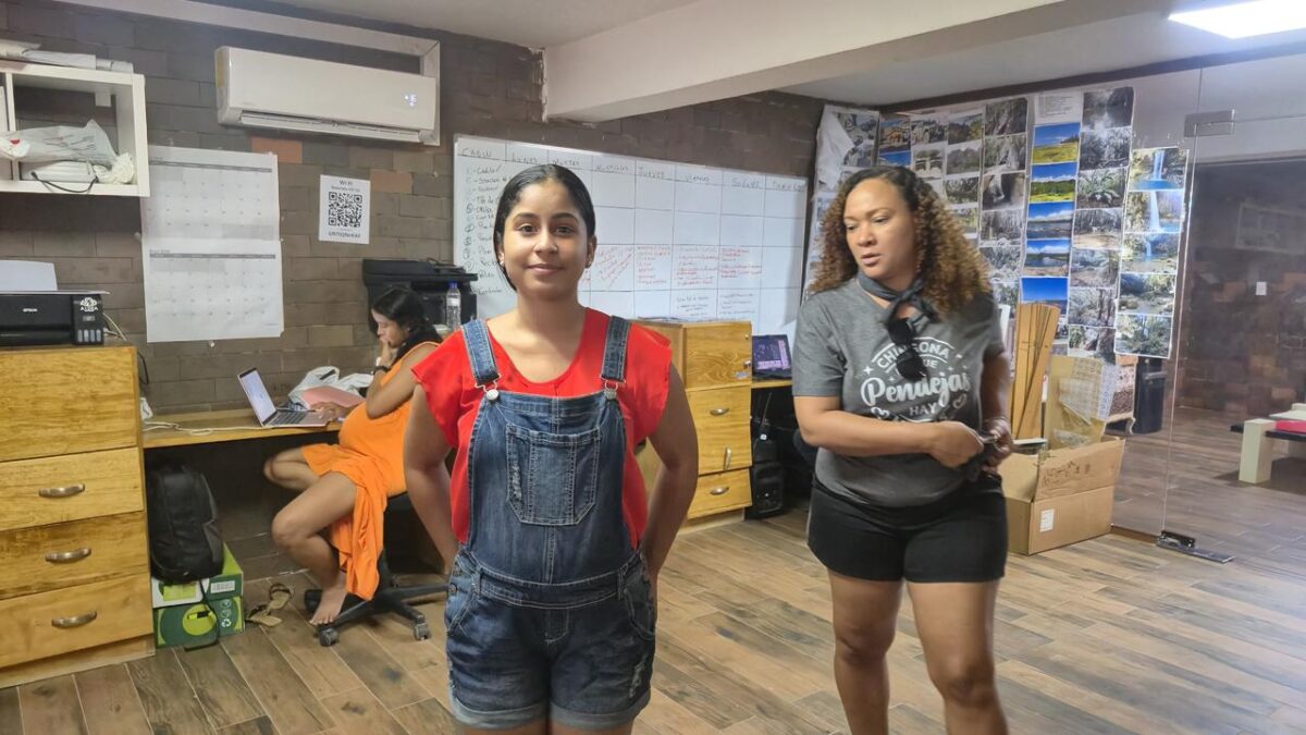 Wilnerys Peña Sánchez interpretará a Emely Peguero en documental y película de ficción #NoticiasSIN 

Amplíe detalles aquí: